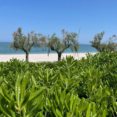 Appartement Casa Bucciarelle